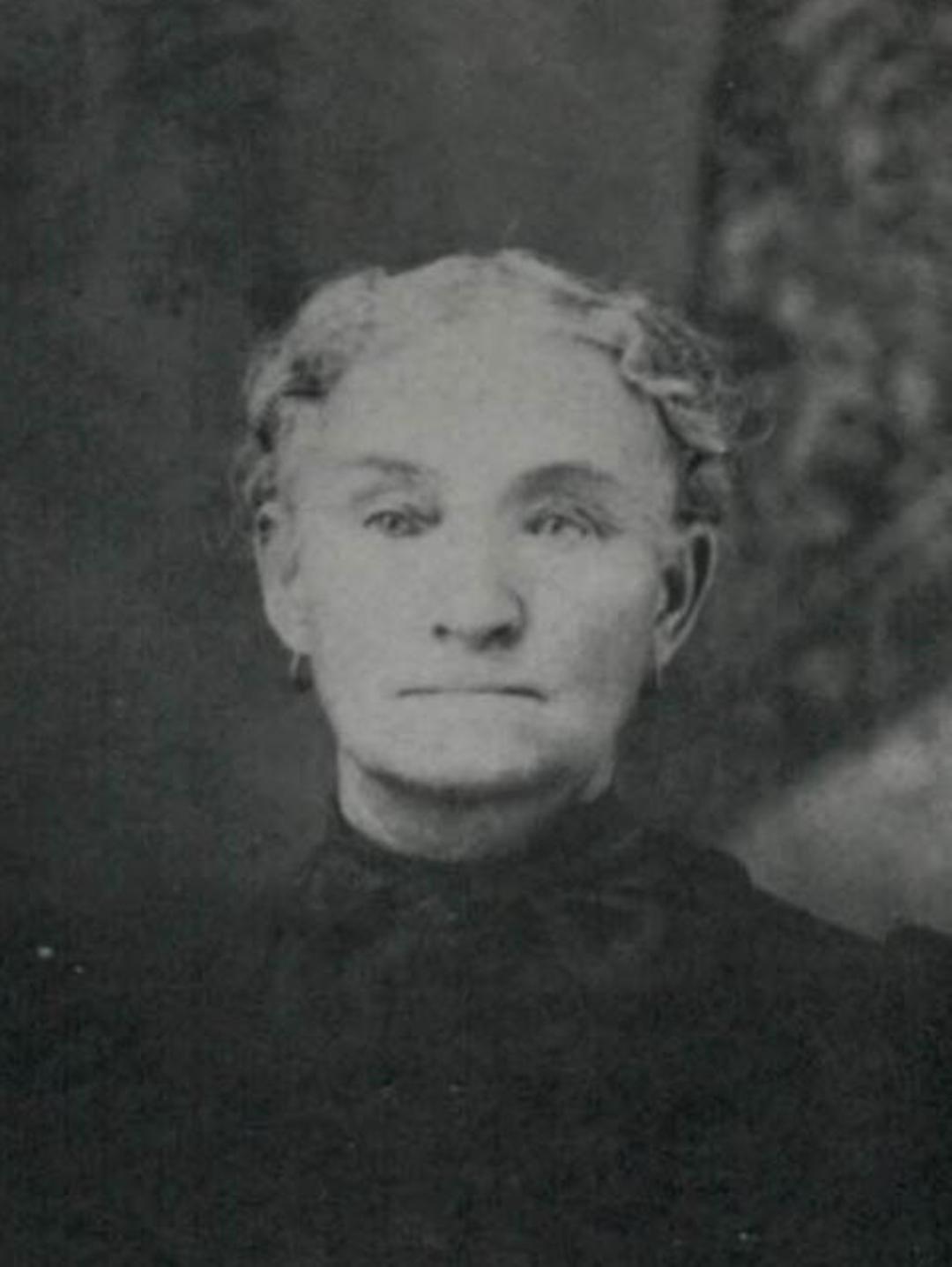Margaret Maria Davis (1846 - 1920) Profile